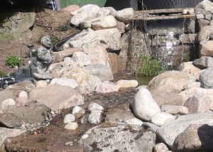 rocks1