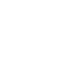 silver-birch