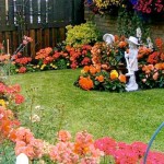 Summer / Winter Bedding