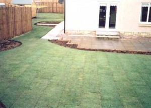 turf1